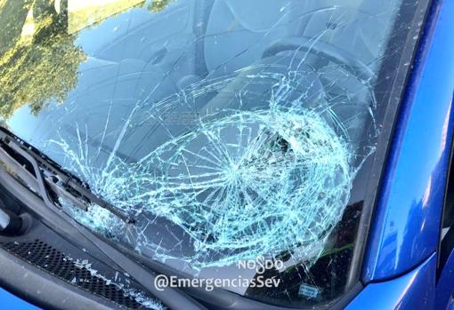 Detalle de la luna del coche tras el atropello