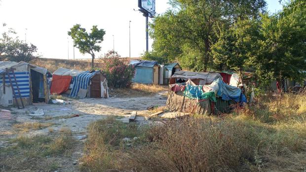 Un asentamiento de chabolas en plena ribera del río Guadalquivir