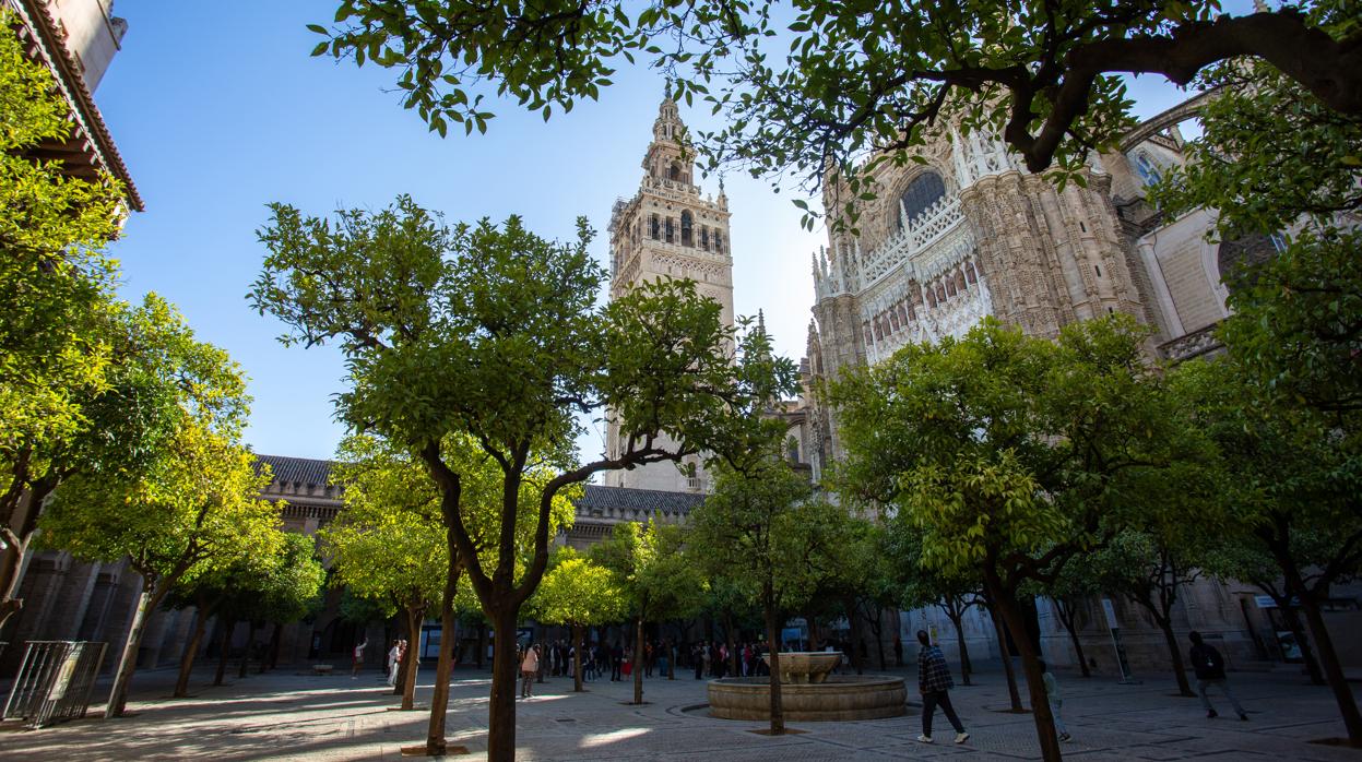 Las obras de rehabilitación de la Giralda han tenido que paralizarse a causa del coronavirus