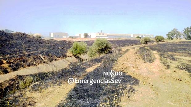 Tres bomberos heridos al sofocar un incendio de pastos en Torreblanca