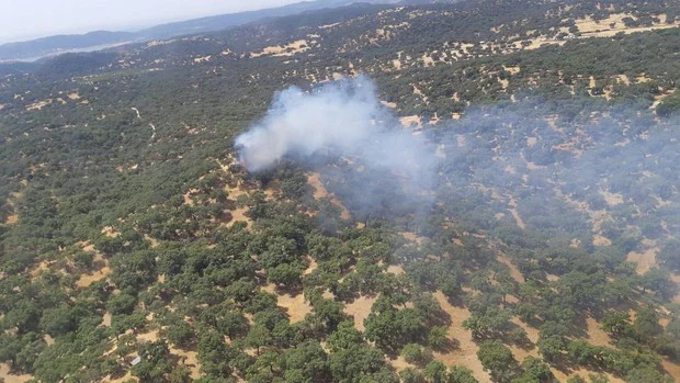 Extinguido el incendio forestal de La Puebla de Los Infantes, en Sevilla
