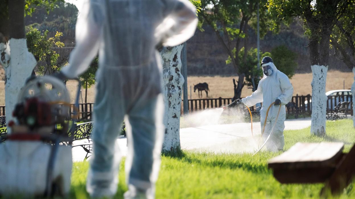 Un operario fumiga unos jardines en La Puebla del Río