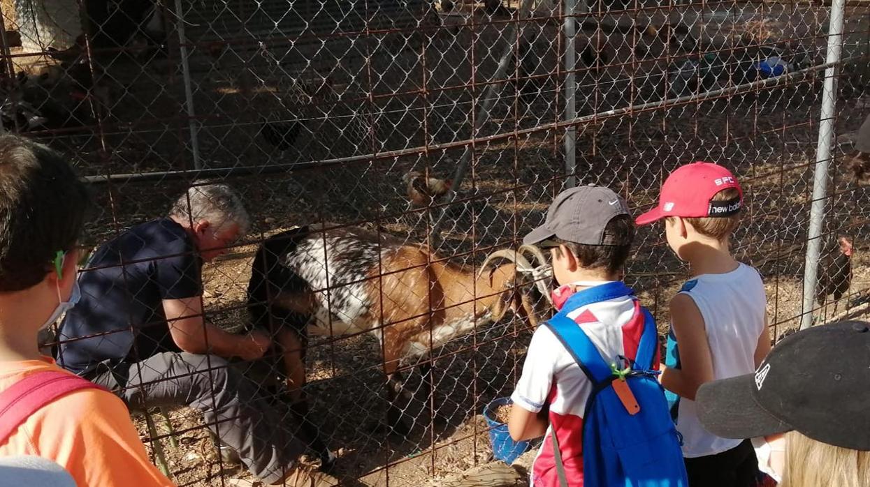 Imagen de un campamento urbano celebrado este verano en Sevilla