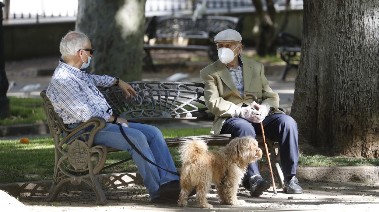 Dos mayores hablan en un parque