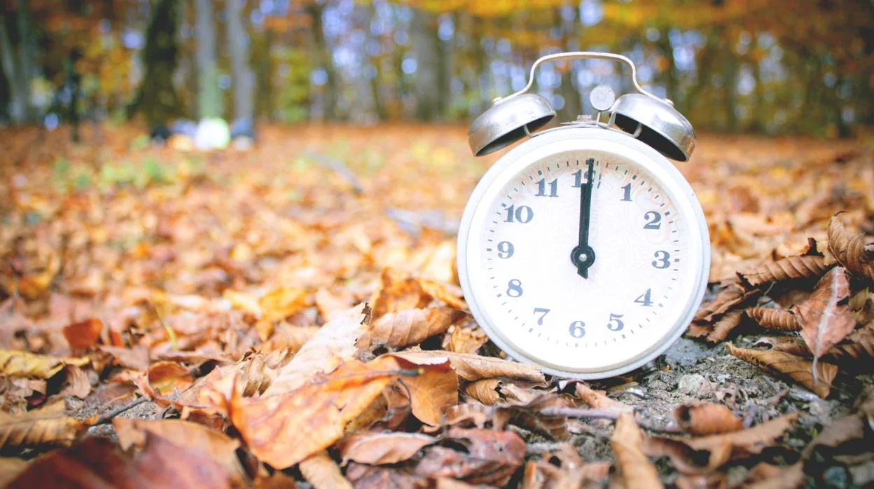 Un reloj marca la hora sobre un suelo lleno de hojas de árboles