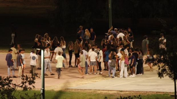 La Policía Local de Sevilla cierra la noche del sábado con 210 denuncias por consumo de alcohol en la calle
