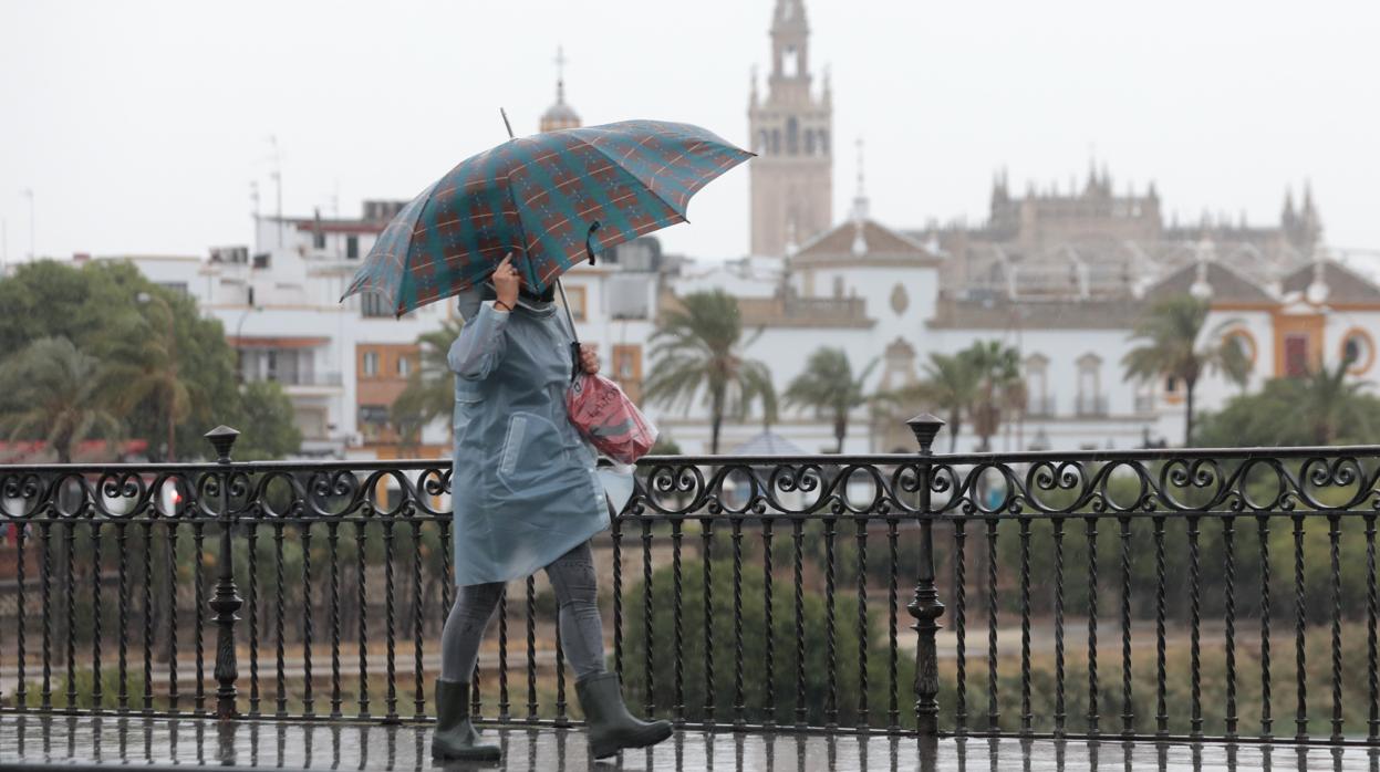 Una mujer pasea, con la Giralda de fondo, en plena borrasca Bárbara en Sevilla