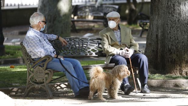 Se frena ligeramente el ritmo de hospitalizaciones por Covid-19 en Sevilla aunque crecen los ingresos en UCI