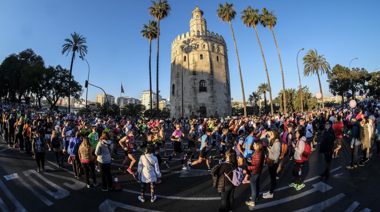 El Maratón de Sevilla el año pasado a su paso por la Torre del Oro