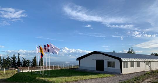 Centro de entrenamiento de los perros en Ecuador