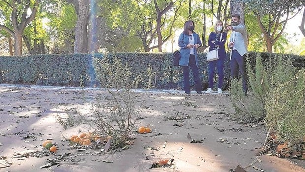 El PP de Sevilla reclama la rehabilitación del Jardín Americano y los Jardines del Guadalquivir