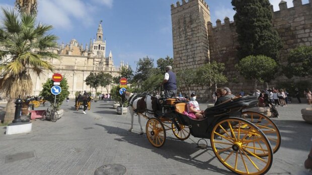 La revista Lonely Planet vuelve a elegir Sevilla como mejor ciudad para viajar