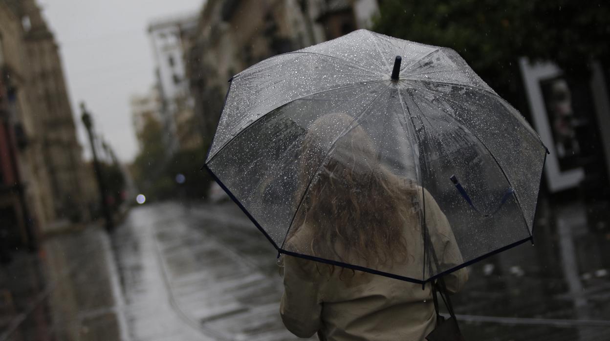 Una mujer se resguarda con su paraguas mientras transita por la Avenida de la Constitución de Sevilla