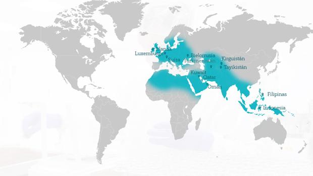 Diversificar para crecer en el exterior