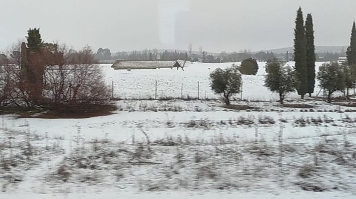 Imagen del AVE Sevilla-Madrid parado en Ciudad Real por la nieve