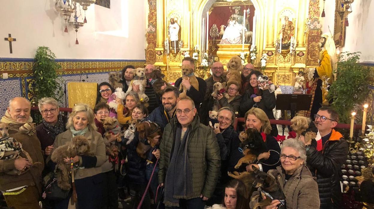 Imagen de las mascotas bendecidas en la celebración de 2020