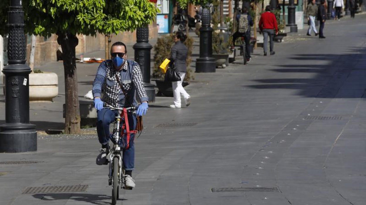 Un usuario de bicicleta por la avenida de la Constitución