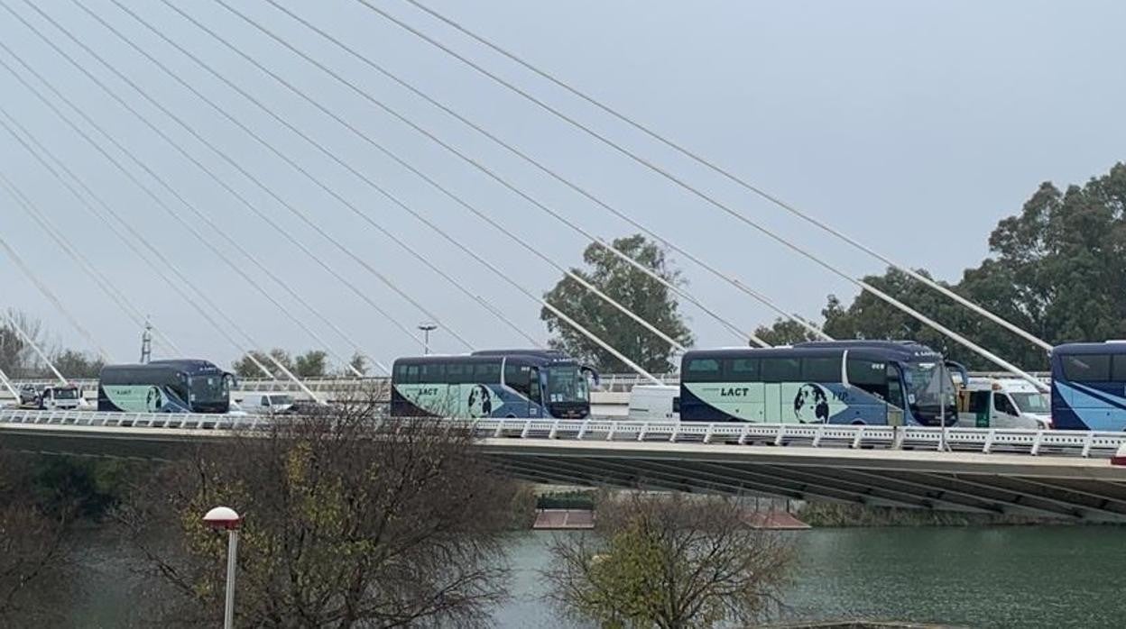 Autobuses por el puente en Sevilla