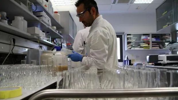 Investigadores de la Hispalense estudian un nuevo método de resonancia magnética contra el cólera