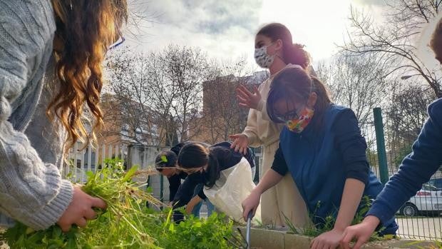 El coronavirus no frena los proyectos Erasmus Plus de los colegios sevillanos