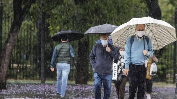 Tiempo en Sevilla: último día de lluvias antes del sol de febrero