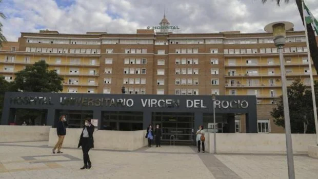 Siete jóvenes investigadoras del Virgen del Rocío de Sevilla consiguen los prestigiosos contratos Río Hortega