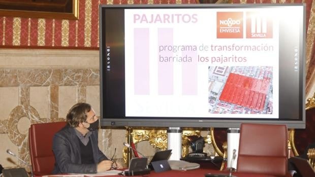 El Ayuntamiento de Sevilla presenta su proyecto para rehabilitar Los Pajaritos sin derribar los edificios