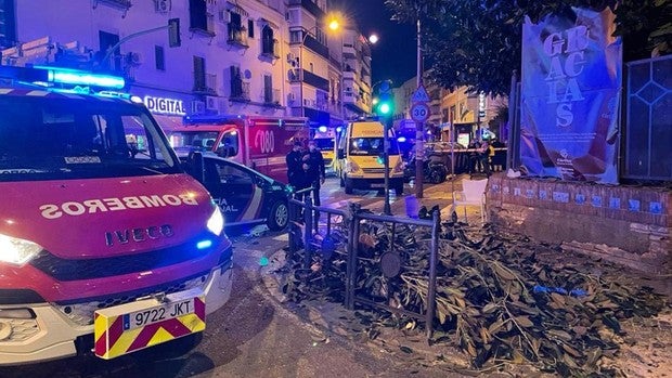 Seis heridos tras caer una gran rama del ficus centenario de la parroquia de San Jacinto en Sevilla