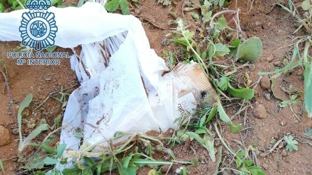 La Policía Nacional recupera en Sevilla 40.000 euros que le fueron robados a una pareja de octogenarios