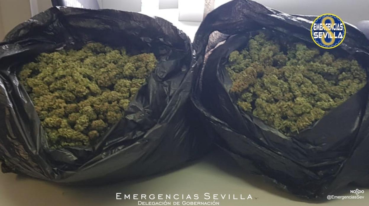 Marihuana incautada por la Policía en el Polígono Sur