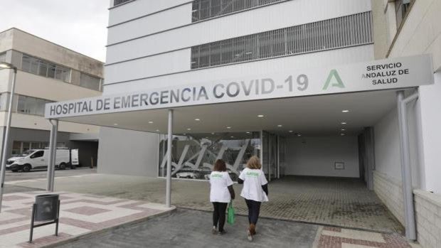 Sevilla suma medio millar de nuevos contagios de coronavirus en los dos últimos días y seis fallecidos