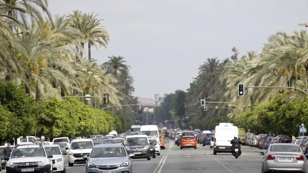 Inversores internacionales proyectan más residencias de estudiantes en la avenida de la Palmera