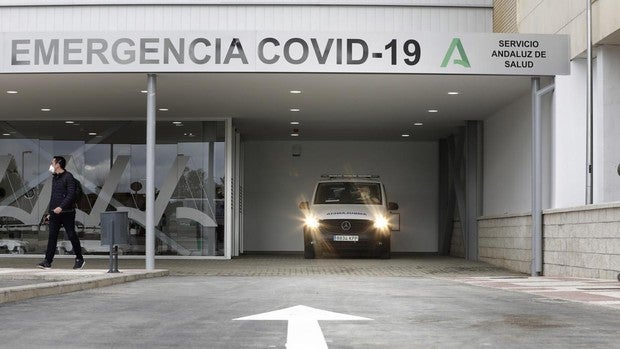 Se reducen a la mitad los contagios de coronavirus en Sevilla, que tampoco registra muertes en 48 horas