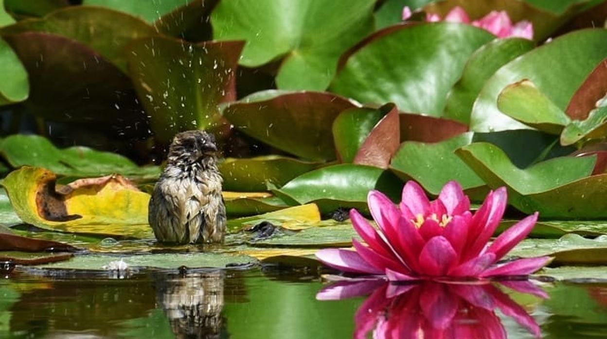 Imagen ganadora del reto fotográfico del mes de abril