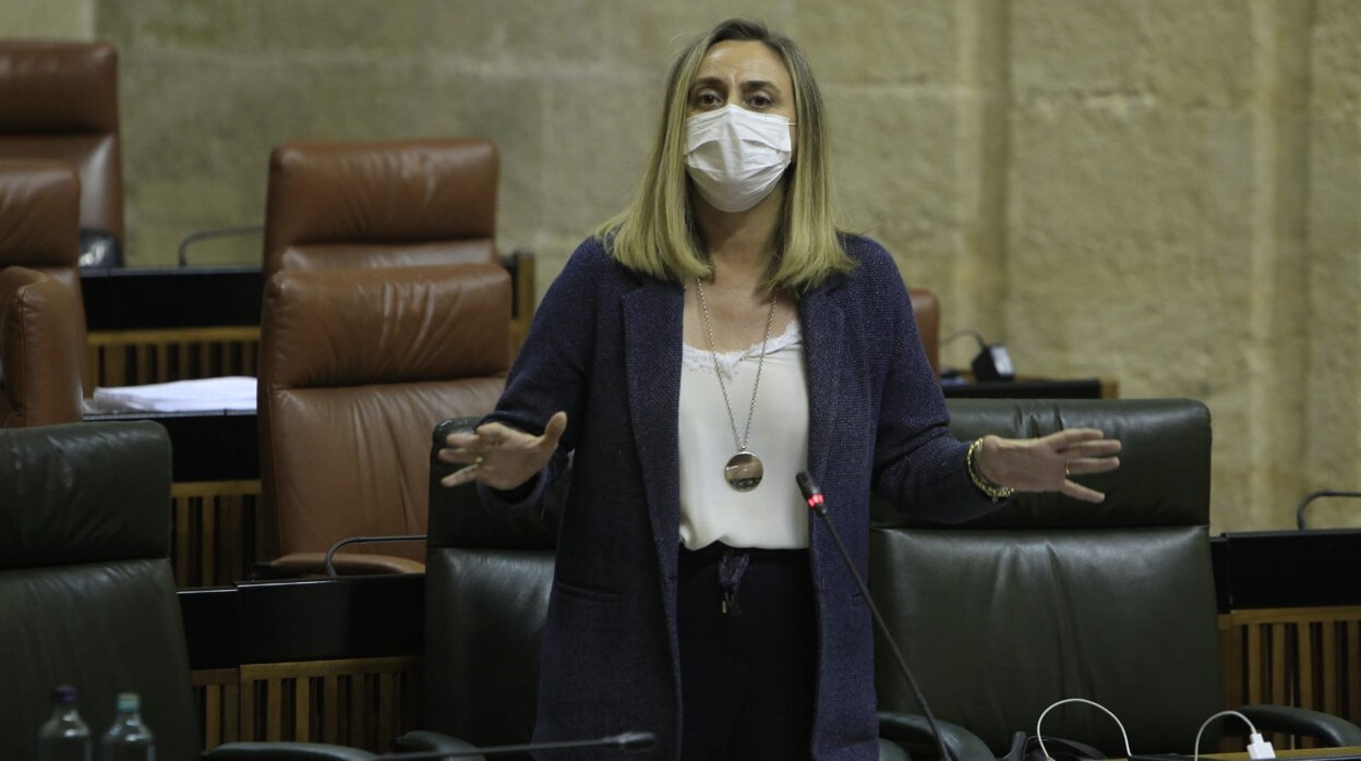 La consejera de Fomento, Marifrán Carazo, este jueves en el Parlamento