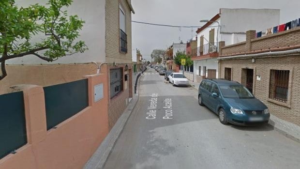 Herido un adolescente de 16 años tras caer un árbol en el barrio de Valdezorras
