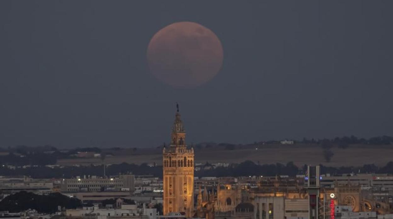 Imagen de las vistas de la Superluna rosa junto la Catedral de Sevilla