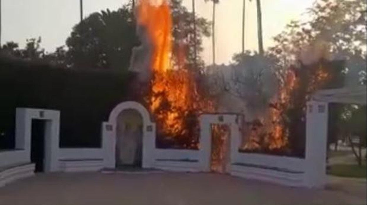 Imagen del primer incendio originado en el Parque de María Luisa de Sevilla