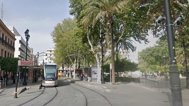 Una bolsa de compras paraliza la red de tranvía de Sevilla durante media hora