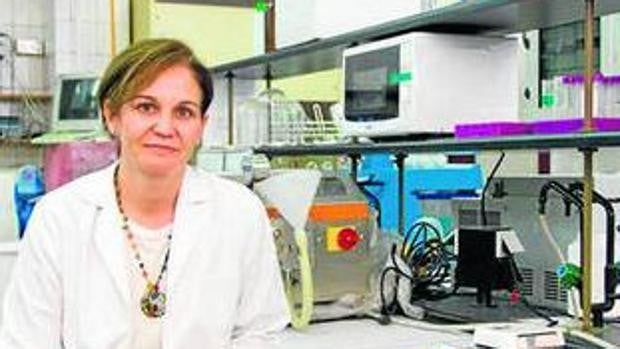 La Universidad de Sevilla patenta nanopartículas para curar la depresión nerviosa