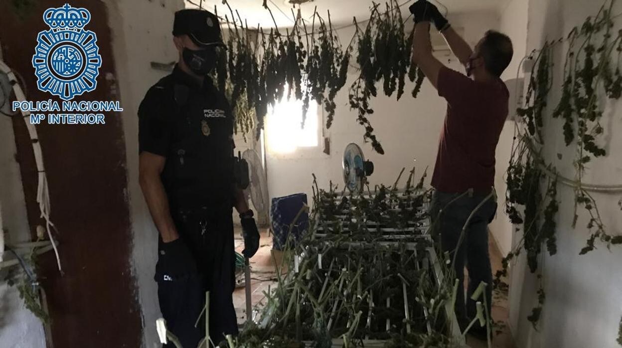 Dos agentes en uno de los pisos empleados para el cultivo de la marihuana