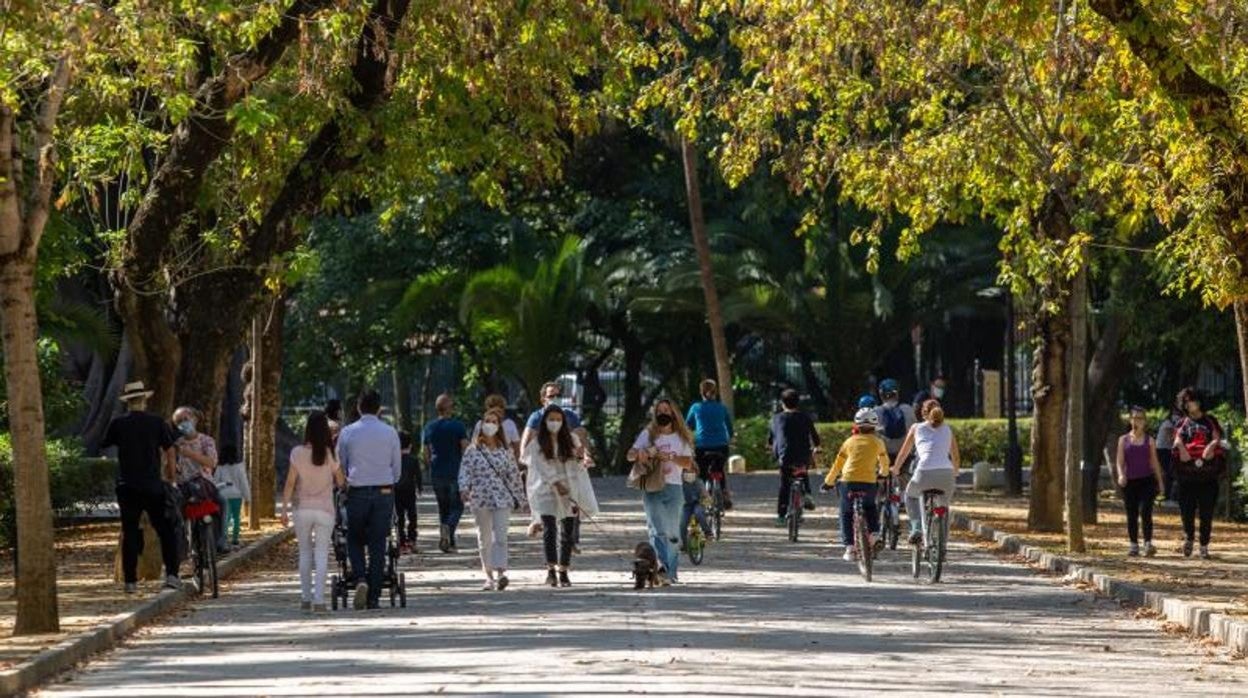 Varias personas pasean por el parque de María Luisa de Sevilla