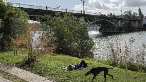 Tiempo en Sevilla: un puente de octubre soleado y caluroso