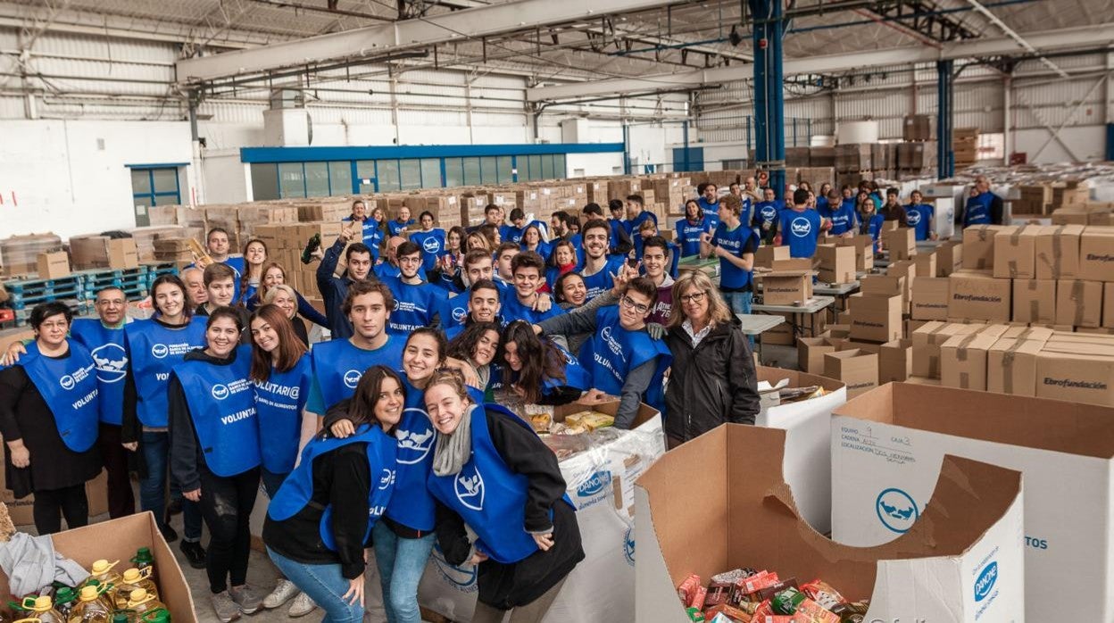 Un nutrido grupo de voluntarios del Banco de Alimentos durante una campaña de recogida