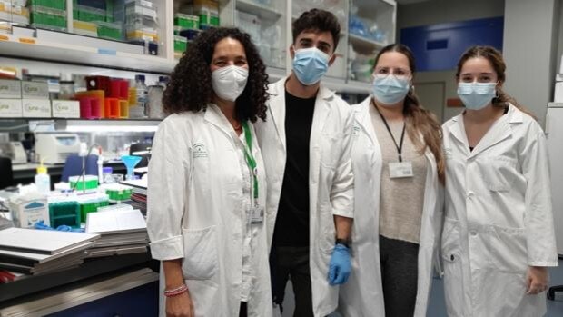 Investigadores del IBIS prueban con resultados esperanzadores una nueva sustancia para prevenir la espina bífida