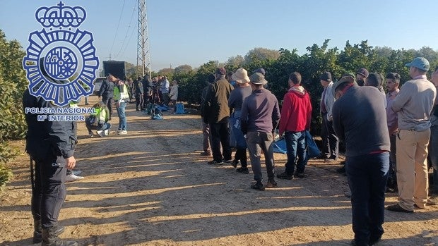 Destapan una red que contrataba mano de obra barata para el campo sevillano