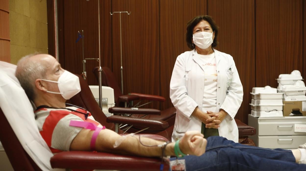 Una transfusión de sangre en un centro de donación de sangre de Córdoba