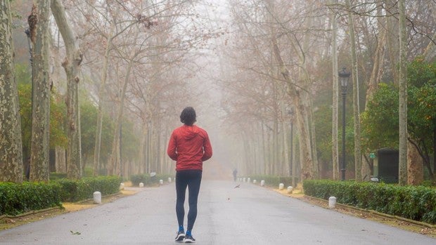 El Ayuntamiento de Sevilla rescinde el contrato de las nuevas señales del parque de María Luisa