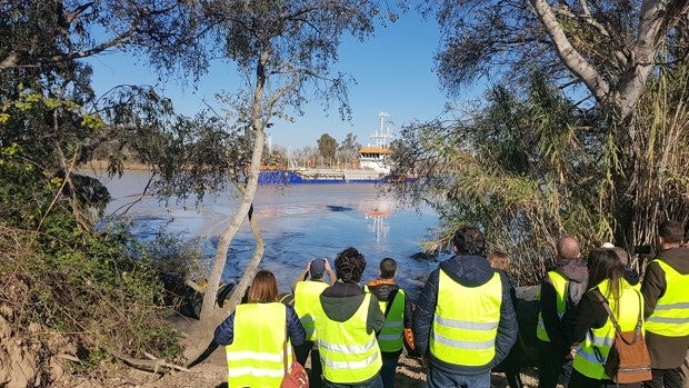 El Puerto de Sevilla avanza en el dragado del Guadalquivir con un grupo de científicos