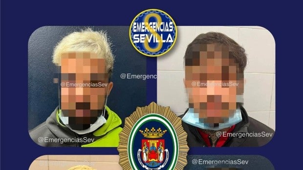 Le rompen el brazo a una mujer con discapacidad para arrancarle y robarle el bolso en Sevilla